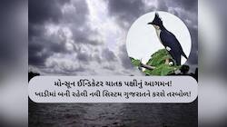 આગામી 5 દિવસ પછી ગુજરાતમાં વરસાદનું ભયાનક એલર્ટ; આદ્રા નક્ષત્ર પહેલાં મોટા સંકેત!