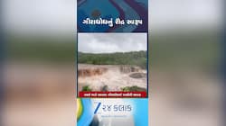 ડાંગમાં કુદરતી સૌંદર્ય સોળે કળાએ ખીલી ઉઠ્યું, જુઓ વઘઈ ખાતે આવલા ગીરાધોધનો નજારો...