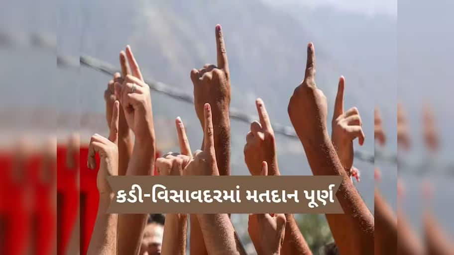 ગુજરાતમાં પેટાચૂંટણીનું મતદાન પૂર્ણ, કડીમાં 57.90 અને વીસાવદર 56.89 ટકા મતદાન; 23 જૂને પરિણામ