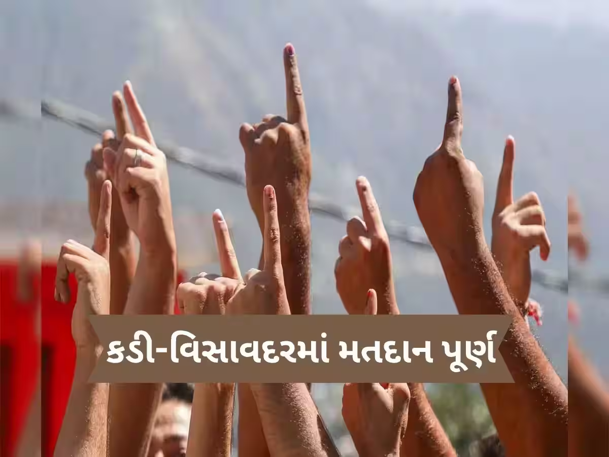 ગુજરાતમાં પેટાચૂંટણીનું મતદાન પૂર્ણ, કડીમાં 57.90 અને વીસાવદર 56.89 ટકા મતદાન; 23 જૂને પરિણામ ગુજરાતમાં પેટાચૂંટણીનું મતદાન પૂર્ણ, કડીમાં 57.90 અને વીસાવદર 56.89 ટકા મતદાન; 23 જૂને પરિણામ