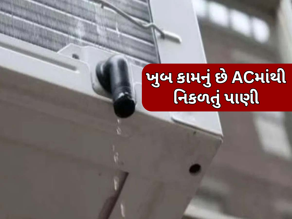 ACમાંથી નિકળતું પાણી બેકાર નથી, ઘરના આ 5 કામોમાં કરી શકો છો ઉપયોગ; ફાયદા જાણીને ચોંકી જશો ACમાંથી નિકળતું પાણી બેકાર નથી, ઘરના આ 5 કામોમાં કરી શકો છો ઉપયોગ; ફાયદા જાણીને ચોંકી જશો