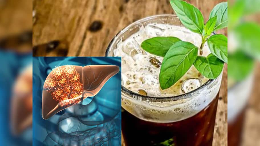 Detox liver: લીવરમાં જામેલા ટોક્સિન અને સોજો દુર કરવામાં મદદ કરશે આ Drinks, સડતું લીવર પણ સ્વસ્થ થઈ જશે