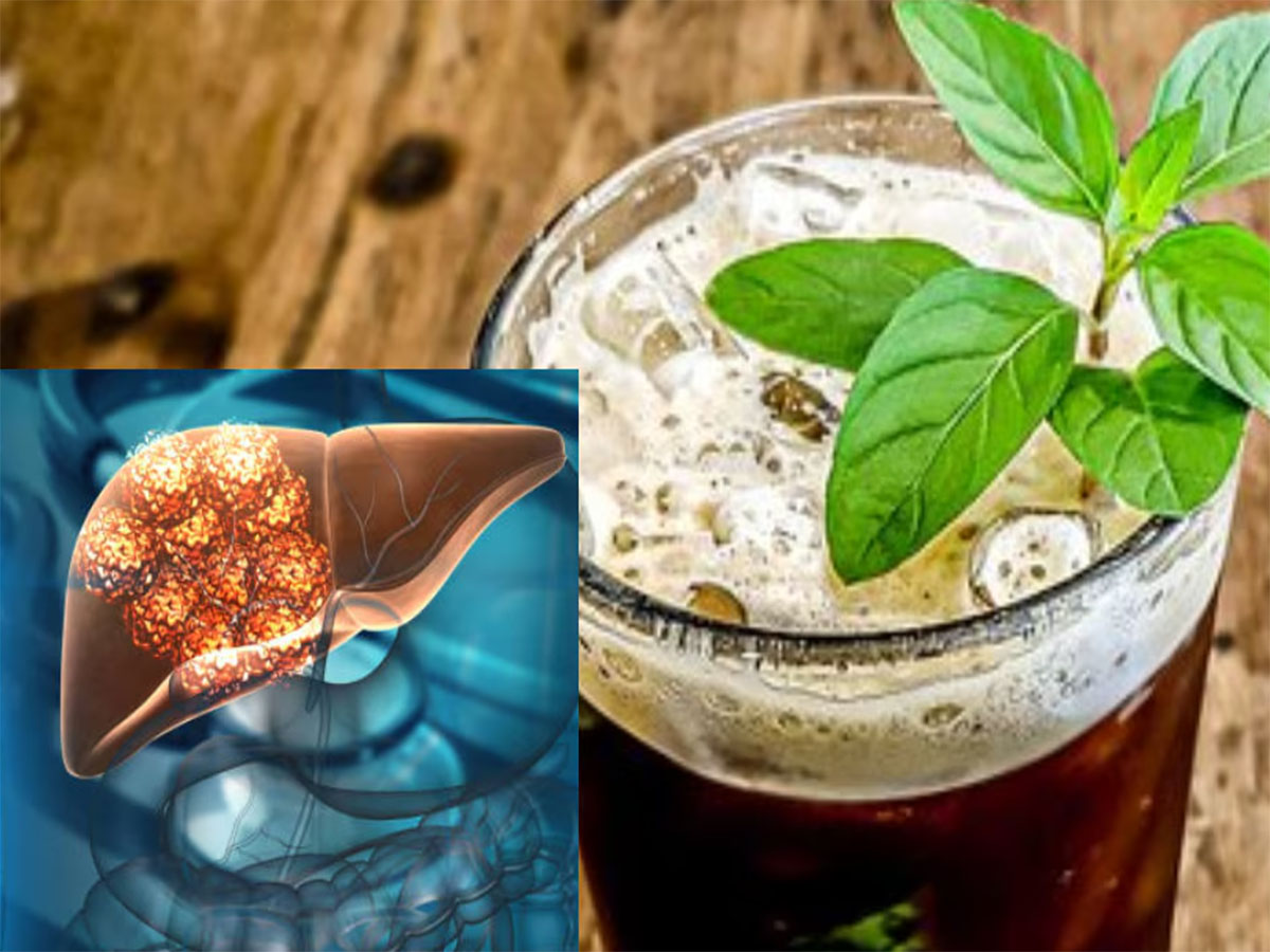 Detox liver: લીવરમાં જામેલા ટોક્સિન અને સોજો દુર કરવામાં મદદ કરશે આ Drinks, સડતું લીવર પણ સ્વસ્થ થઈ જશે Detox liver: લીવરમાં જામેલા ટોક્સિન અને સોજો દુર કરવામાં મદદ કરશે આ Drinks, સડતું લીવર પણ સ્વસ્થ થઈ જશે