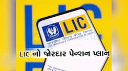 LIC ની આ સ્કીમમાં માત્ર એકવાર લગાવો પૈસા, દર મહિને 1 લાખથી વધુનું મળશે પેન્શન, જાણો