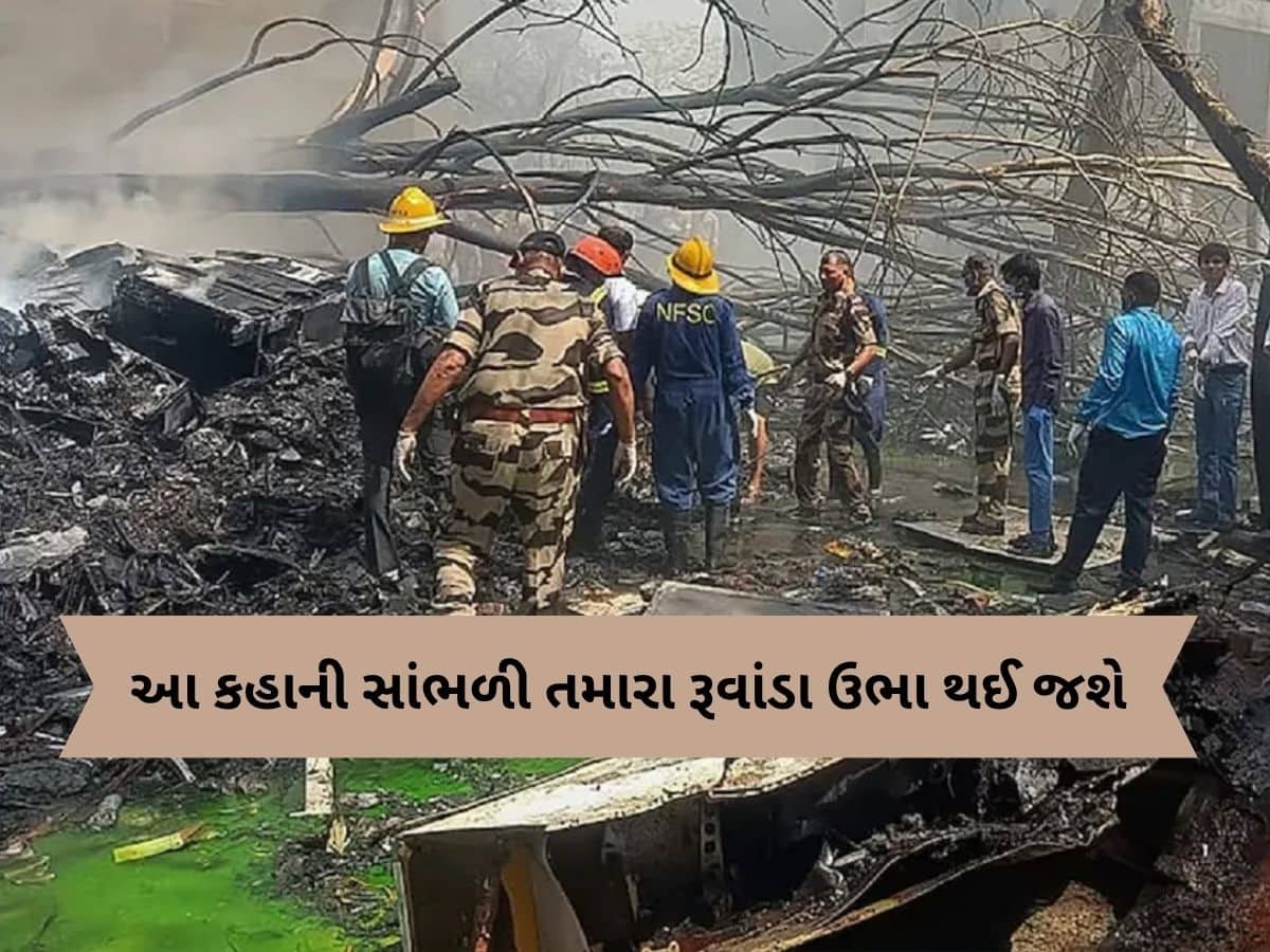 અમદાવાદ પ્લેન ક્રેશમાં મોતની સંખ્યા 264 નહીં 344 હોત, એક ટિફિનવાળાએ 80 ડોક્ટરોના બચાવ્યા જીવ, હૃદયદ્રાવક સત્ય સામે આવ્યું અમદાવાદ પ્લેન ક્રેશમાં મોતની સંખ્યા 264 નહીં 344 હોત, એક ટિફિનવાળાએ 80 ડોક્ટરોના બચાવ્યા જીવ, હૃદયદ્રાવક સત્ય સામે આવ્યું