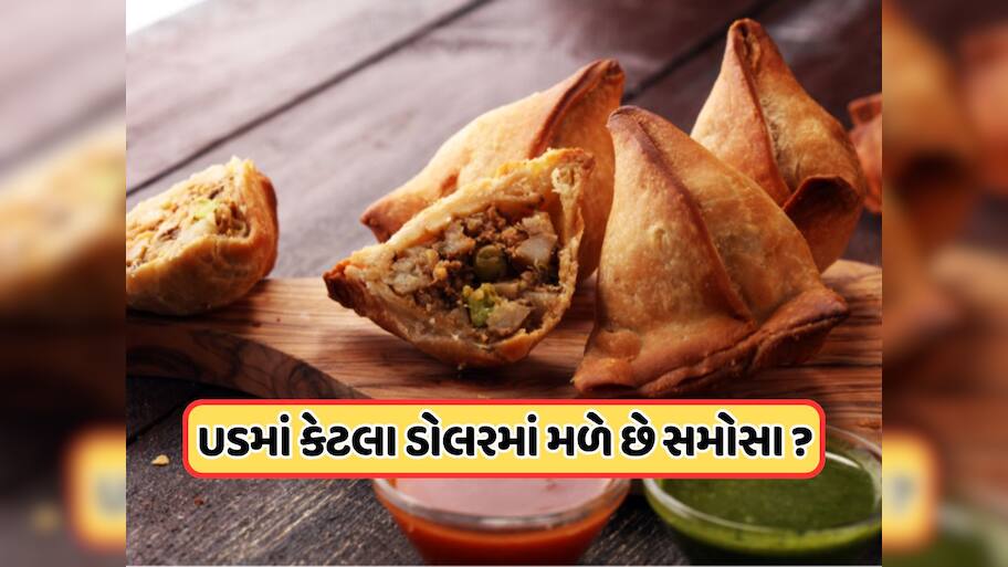 અમેરિકામાં કેટલા રૂપિયામાં મળે છે બે સમોસા? કિંમત સાંભળ્યા પછી, તમે ભારતમાં જ કરી લેશો પાર્ટી 