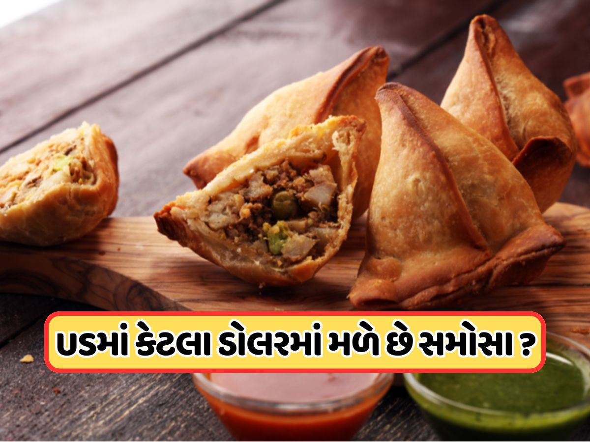 અમેરિકામાં કેટલા રૂપિયામાં મળે છે બે સમોસા? કિંમત સાંભળ્યા પછી, તમે ભારતમાં જ કરી લેશો પાર્ટી અમેરિકામાં કેટલા રૂપિયામાં મળે છે બે સમોસા? કિંમત સાંભળ્યા પછી, તમે ભારતમાં જ કરી લેશો પાર્ટી
