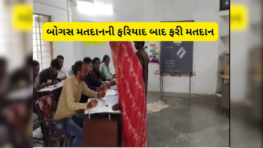વિસાવદરમાં એવું તો શું થયું કે બે બુથ પર આજે ફરીથી મતદાન થઈ રહ્યું છે, ચૂંટણી પંચનો મોટો નિર્ણય