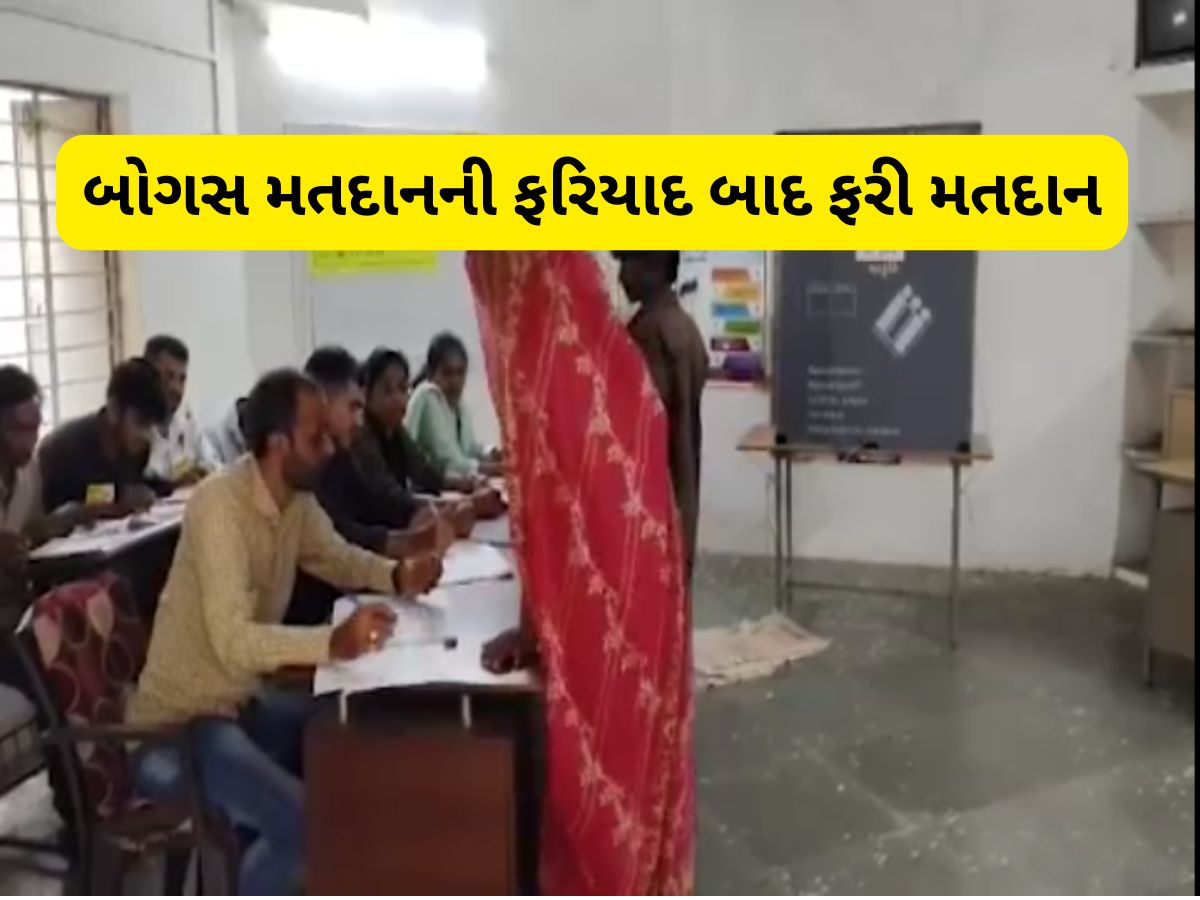 વિસાવદરમાં એવું તો શું થયું કે બે બુથ પર આજે ફરીથી મતદાન થઈ રહ્યું છે, ચૂંટણી પંચનો મોટો નિર્ણય વિસાવદરમાં એવું તો શું થયું કે બે બુથ પર આજે ફરીથી મતદાન થઈ રહ્યું છે, ચૂંટણી પંચનો મોટો નિર્ણય