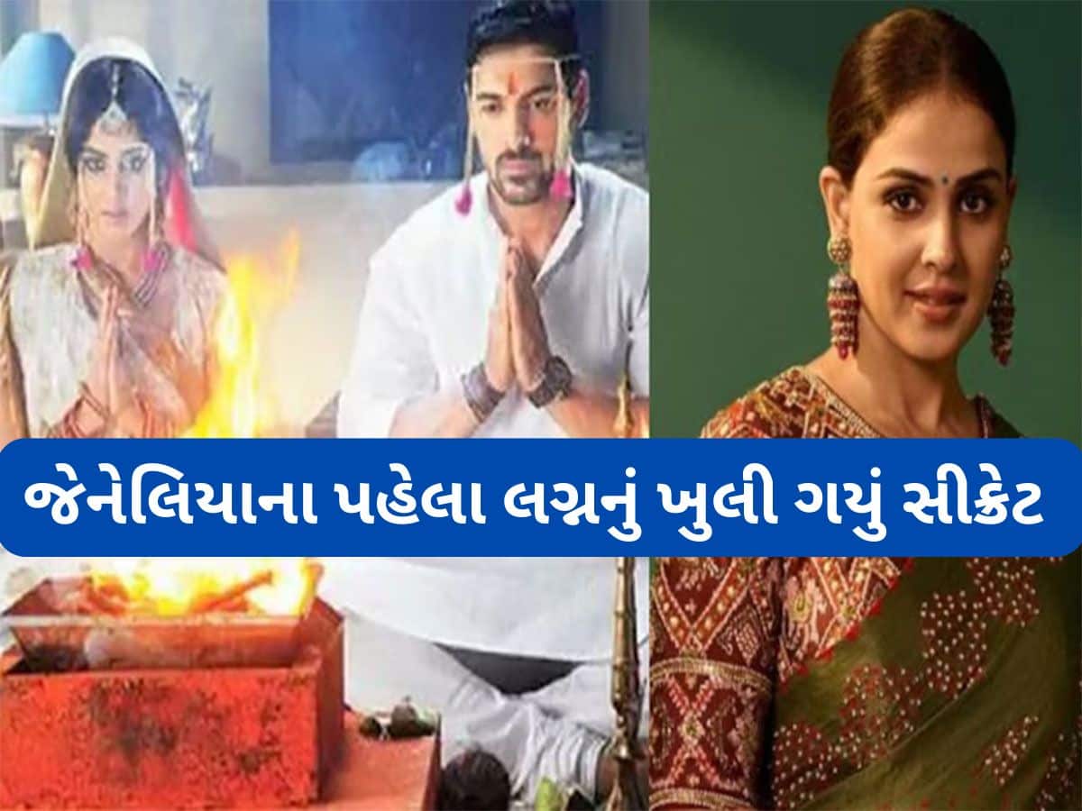 Genelia First Marriage:રિતેશ દેશમુખ સાથે જેનેલિયા ડિસુઝાના છે બીજા લગ્ન, પહેલીવાર આ એક્ટર સાથે થયા હતા મેરેજ