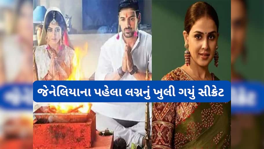 Genelia First Marriage:રિતેશ દેશમુખ સાથે જેનેલિયા ડિસુઝાના છે બીજા લગ્ન, પહેલીવાર આ એક્ટર સાથે થયા હતા મેરેજ