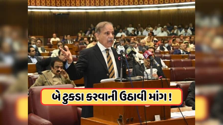 બદલાશે પાકિસ્તાનનો નકશો... થશે ટુકડા-ટુકડા, શાહબાઝના મંત્રીએ કહ્યું: એક નવો પ્રાંત બનીને રહેશે!