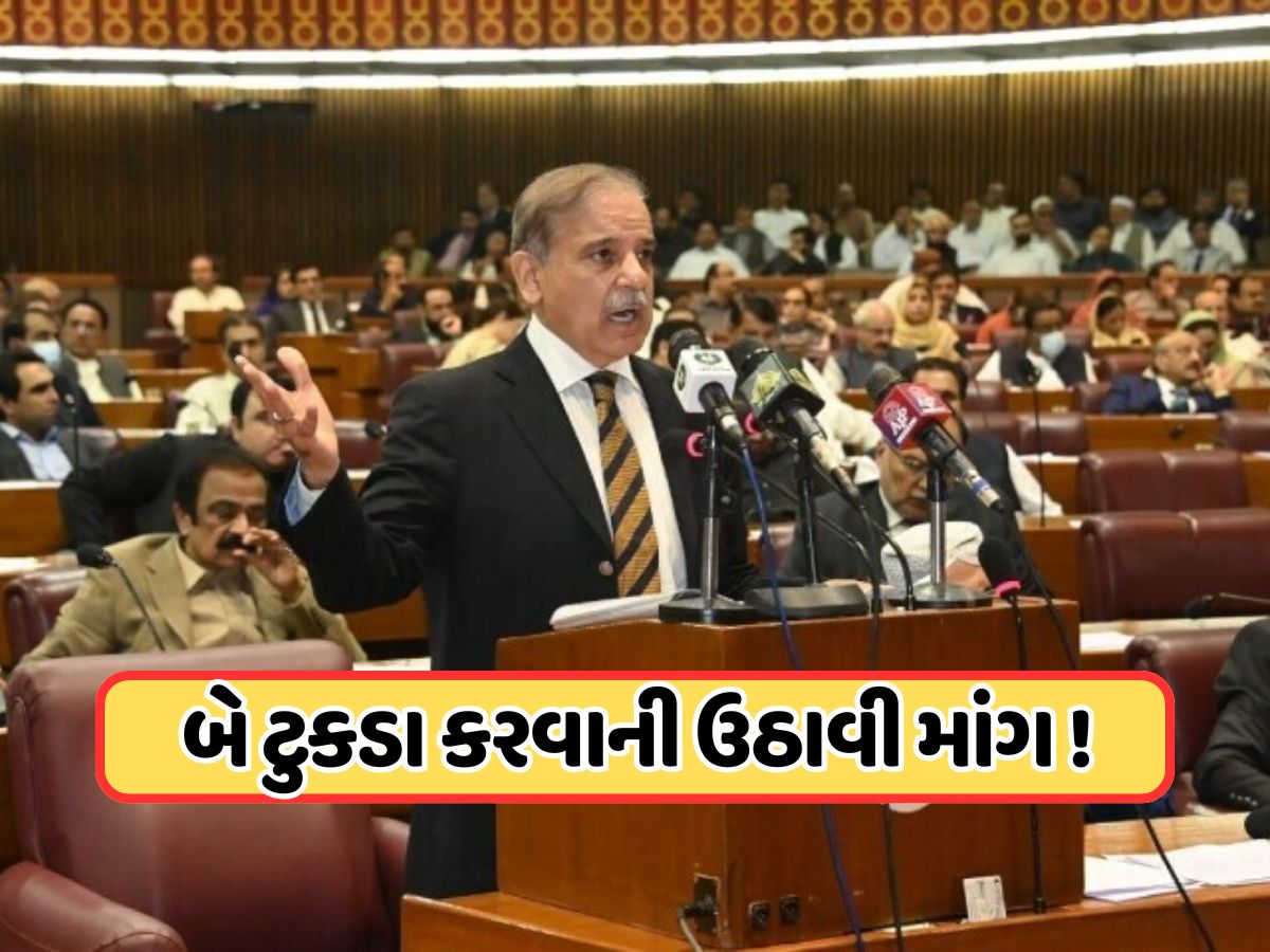 બદલાશે પાકિસ્તાનનો નકશો... થશે ટુકડા-ટુકડા, શાહબાઝના મંત્રીએ કહ્યું: એક નવો પ્રાંત બનીને રહેશે! બદલાશે પાકિસ્તાનનો નકશો... થશે ટુકડા-ટુકડા, શાહબાઝના મંત્રીએ કહ્યું: એક નવો પ્રાંત બનીને રહેશે!