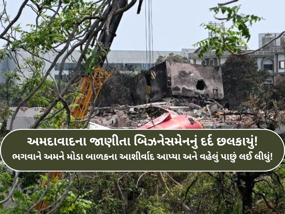 ડોલીને બદલે ઉઠાવવી પડી અર્થી, પ્લેન ક્રેશમાં ગુમાવવી પડી એકની એક દીકરી...રડાવી દેશે બિઝનેસમેન પરિવારની આ કહાની ડોલીને બદલે ઉઠાવવી પડી અર્થી, પ્લેન ક્રેશમાં ગુમાવવી પડી એકની એક દીકરી...રડાવી દેશે બિઝનેસમેન પરિવારની આ કહાની