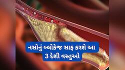 કોલેસ્ટ્રોલ વધી ગયું હોય તો આ 3 વસ્તુ અજમાવો, નસોમાં જામેલું બ્લોકેજ ઝડપથી સાફ થશે