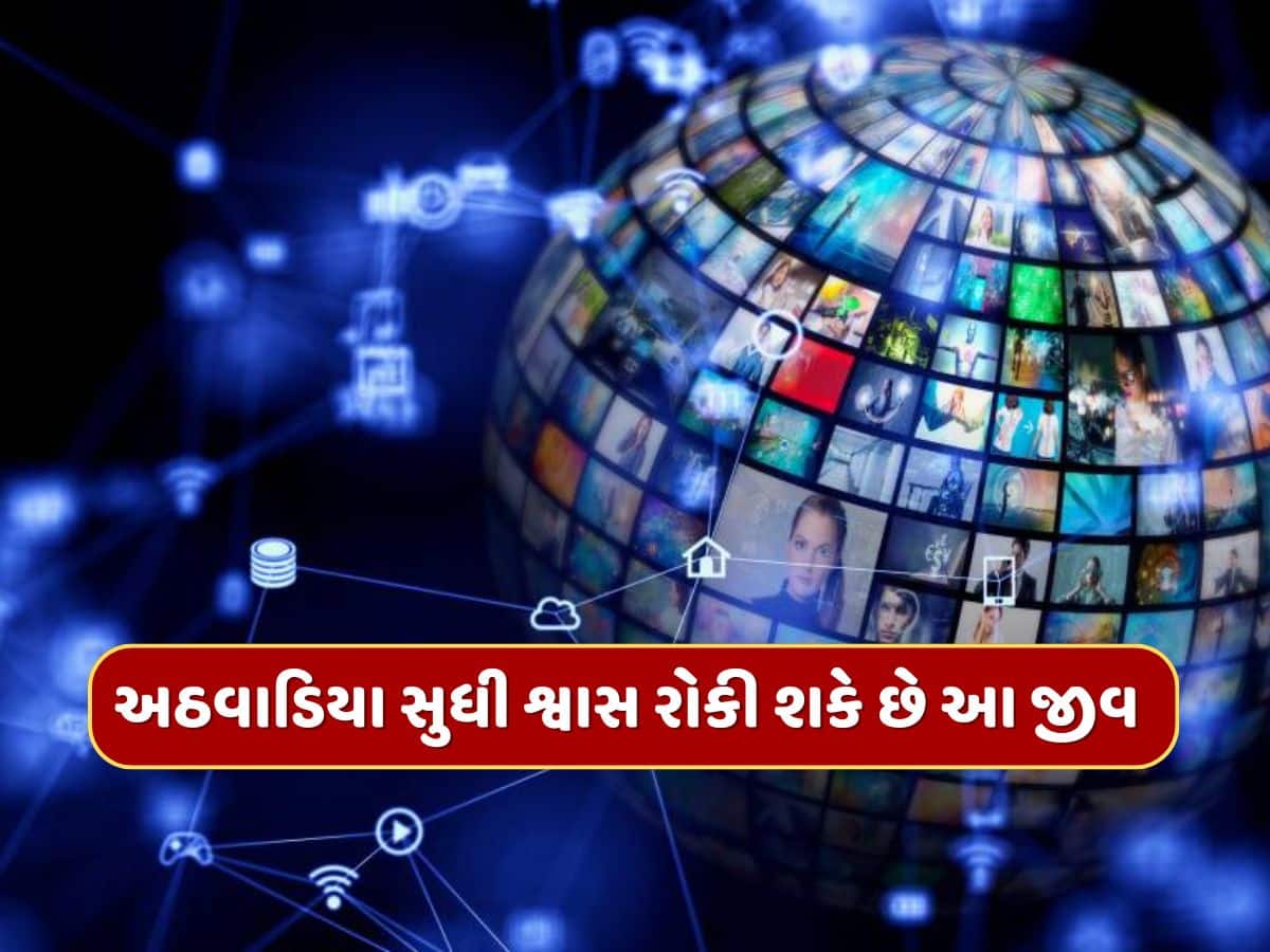Trending Quiz : એવો કયો જીવ છે જે એક અઠવાડિયા સુધી શ્વાસ રોકી શકે છે ?