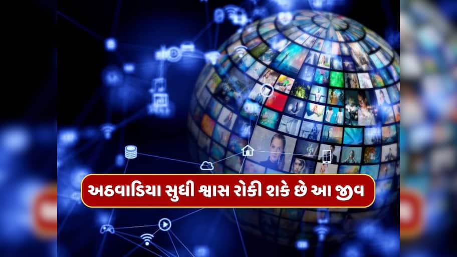 Trending Quiz : એવો કયો જીવ છે જે એક અઠવાડિયા સુધી શ્વાસ રોકી શકે છે ?