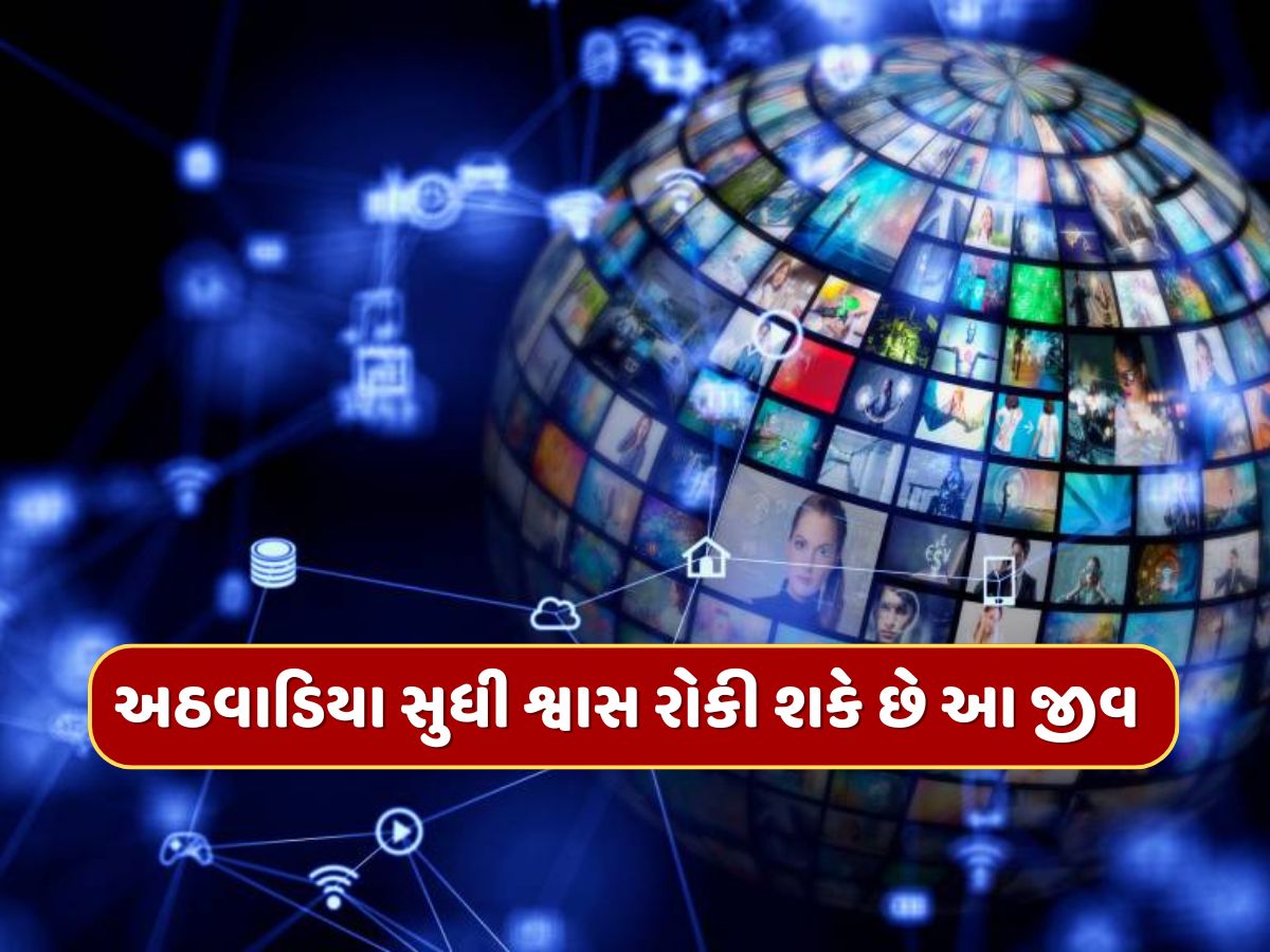Trending Quiz : એવો કયો જીવ છે જે એક અઠવાડિયા સુધી શ્વાસ રોકી શકે છે ? Trending Quiz : એવો કયો જીવ છે જે એક અઠવાડિયા સુધી શ્વાસ રોકી શકે છે ?