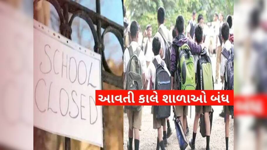 ગુજરાતના આ શહેરમાં આજે તમામ શાળાઓમાં રજા જાહેર, ભારે વરસાદને કારણે DEOએ આપી સૂચના 