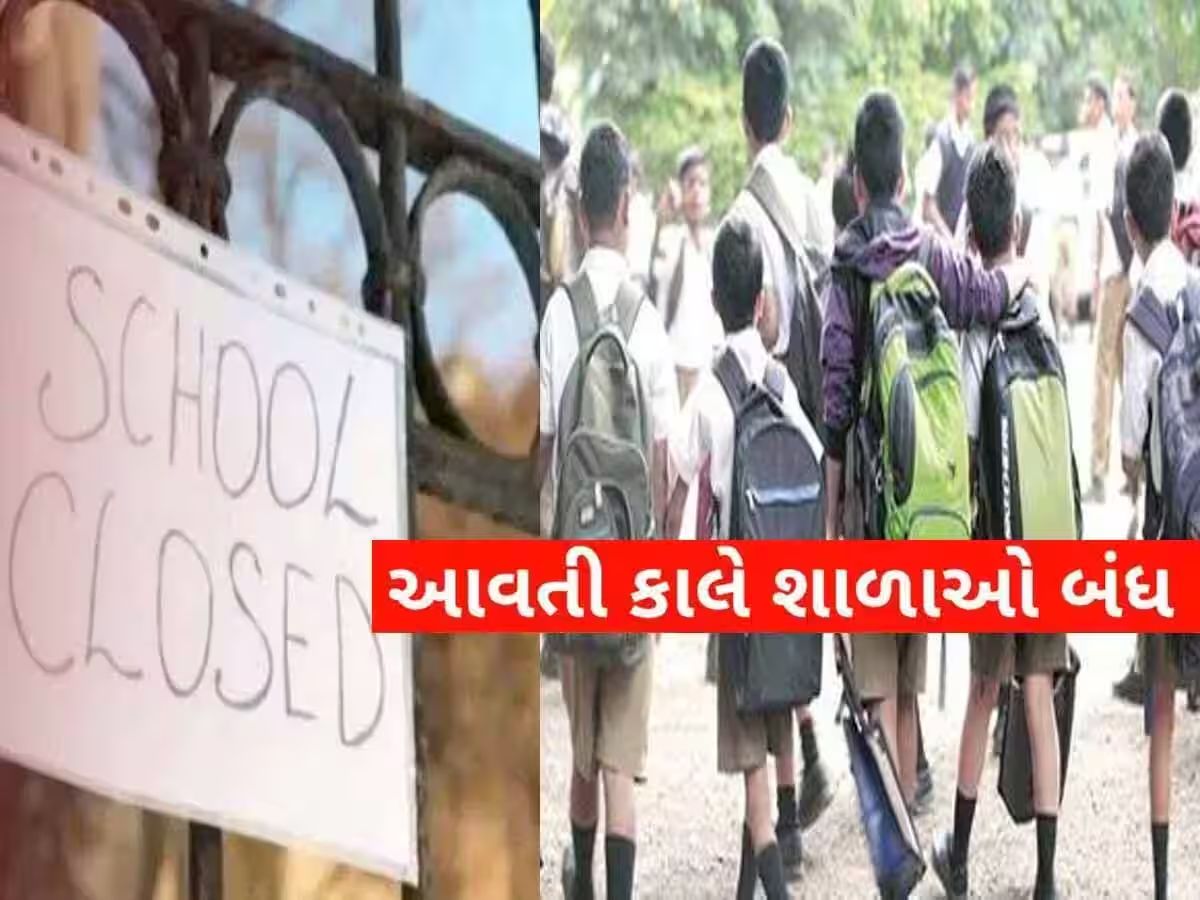 ગુજરાતના આ શહેરમાં આજે તમામ શાળાઓમાં રજા જાહેર, ભારે વરસાદને કારણે DEOએ આપી સૂચના ગુજરાતના આ શહેરમાં આજે તમામ શાળાઓમાં રજા જાહેર, ભારે વરસાદને કારણે DEOએ આપી સૂચના
