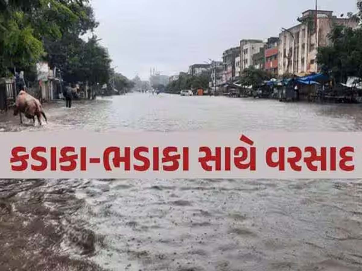 Gujarat Monsoon 2025: ગુજરાતના આ જિલ્લામાં આફતનો વરસાદ; 33 જિલ્લાના 165 તાલુકાઓમાં મેઘરાજા વરસ્યો! Gujarat Monsoon 2025: ગુજરાતના આ જિલ્લામાં આફતનો વરસાદ; 33 જિલ્લાના 165 તાલુકાઓમાં મેઘરાજા વરસ્યો!