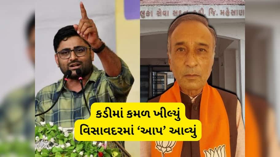 પેટાચૂંટણીનું પિક્ચર પૂરું : ગોપાલ ઈટાલિયા બન્યા મેન ઓફ ધ મેચ, કડીમાં રાજેન્દ્ર ચાવડા વન વે જીતી ગયા