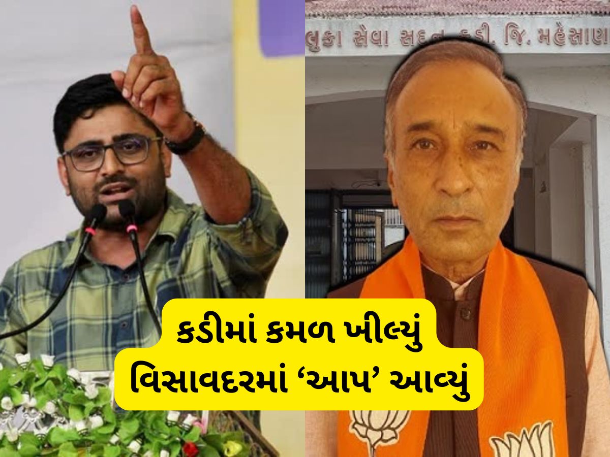 પેટાચૂંટણીનું પિક્ચર પૂરું : ગોપાલ ઈટાલિયા બન્યા મેન ઓફ ધ મેચ, કડીમાં રાજેન્દ્ર ચાવડા વન વે જીતી ગયા પેટાચૂંટણીનું પિક્ચર પૂરું : ગોપાલ ઈટાલિયા બન્યા મેન ઓફ ધ મેચ, કડીમાં રાજેન્દ્ર ચાવડા વન વે જીતી ગયા
