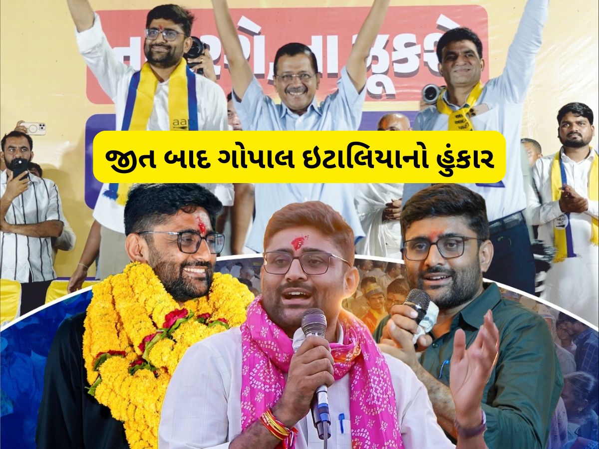 ગુજરાતમાં ક્રાંતિના બીજ રોપાઈ ચૂક્યા છે! જીત બાદ સામે આવી ગોપાલ ઈટાલિયાની પ્રતિક્રીયા ગુજરાતમાં ક્રાંતિના બીજ રોપાઈ ચૂક્યા છે! જીત બાદ સામે આવી ગોપાલ ઈટાલિયાની પ્રતિક્રીયા