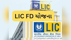 1 લાખ રૂપિયા જમા કરો અને દર મહિને મેળવો 6500, LIC એ શરૂ કરી નવી FD સ્કીમ