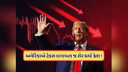 અમેરિકાએ લગાવ્યો 340% ટેક્સ, આ ભારતીય શેર વેચવા માટે લાગી લાઈન, ક્રેશ થયો ભાવ