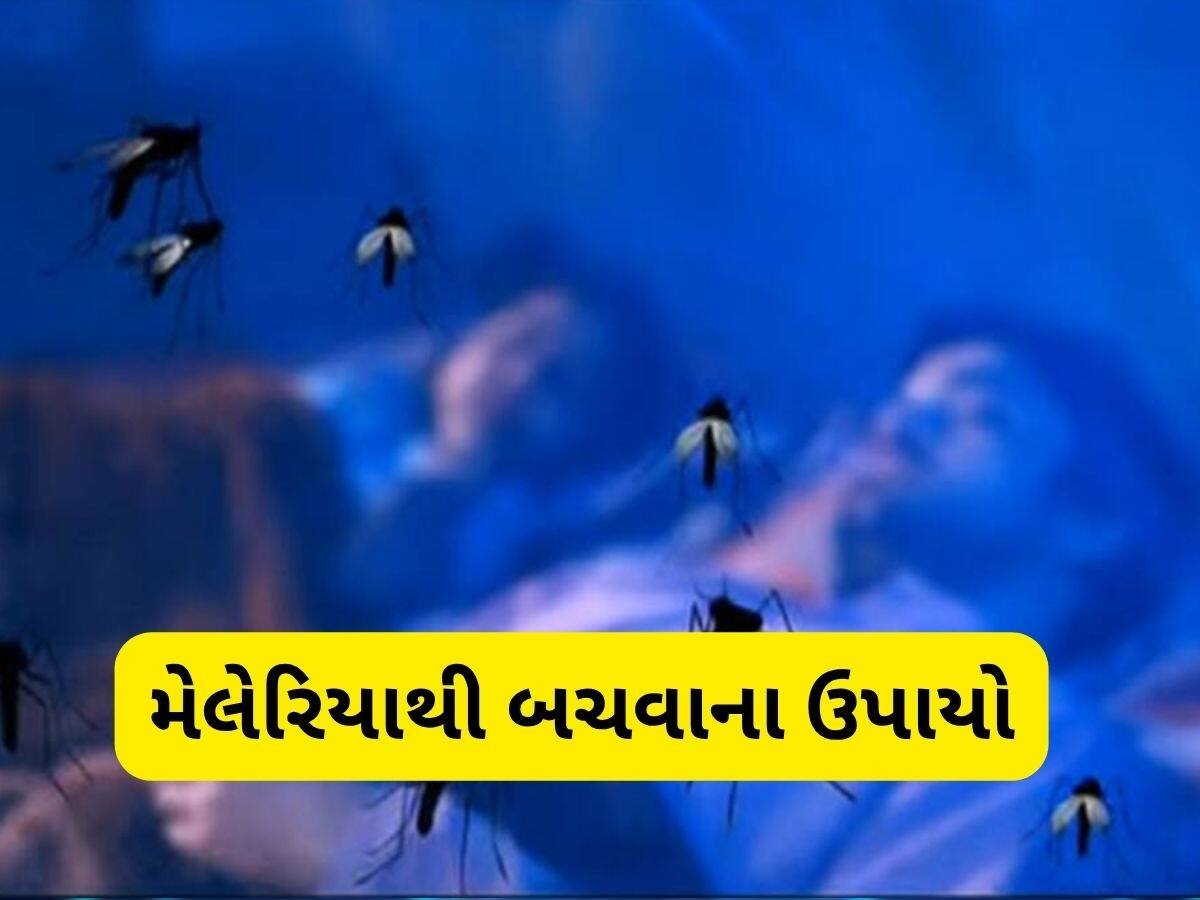   વરસાદમાં વધી જશે મચ્છરોનો આતંક, આ રીતે મેલેરિયાથી બચીને રહેજો, રાજ્ય સરકારે જાહેર કરી માર્ગદર્શિકા