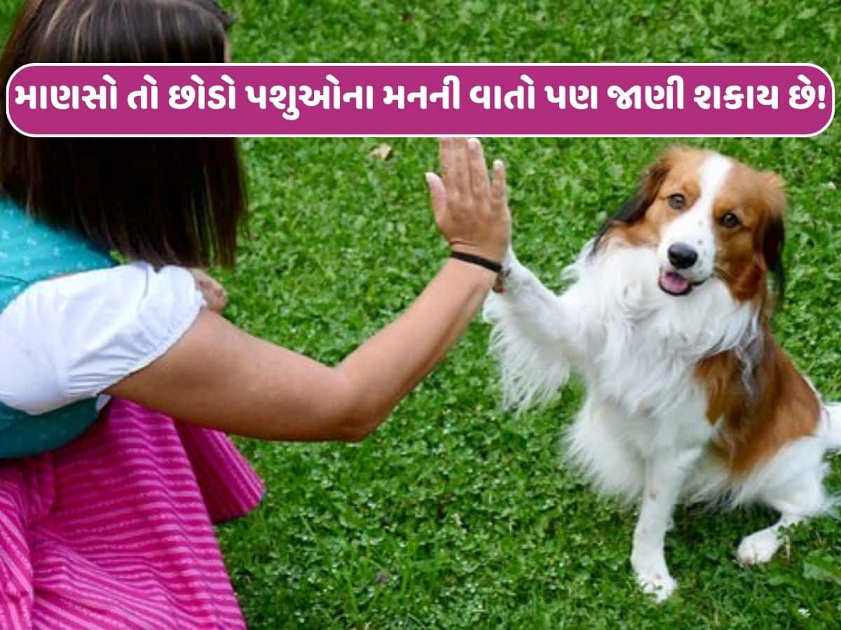માણસો તો છોડો પશુ-પક્ષીઓના મનની વાતો જાણી લેશે મહારાષ્ટ્રની ઉમા કર્વે, આ કારણોસર થઈ ફેમસ...