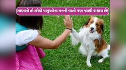 માણસો તો છોડો પશુ-પક્ષીઓના મનની વાતો જાણી લેશે મહારાષ્ટ્રની ઉમા કર્વે, આ કારણોસર થઈ 