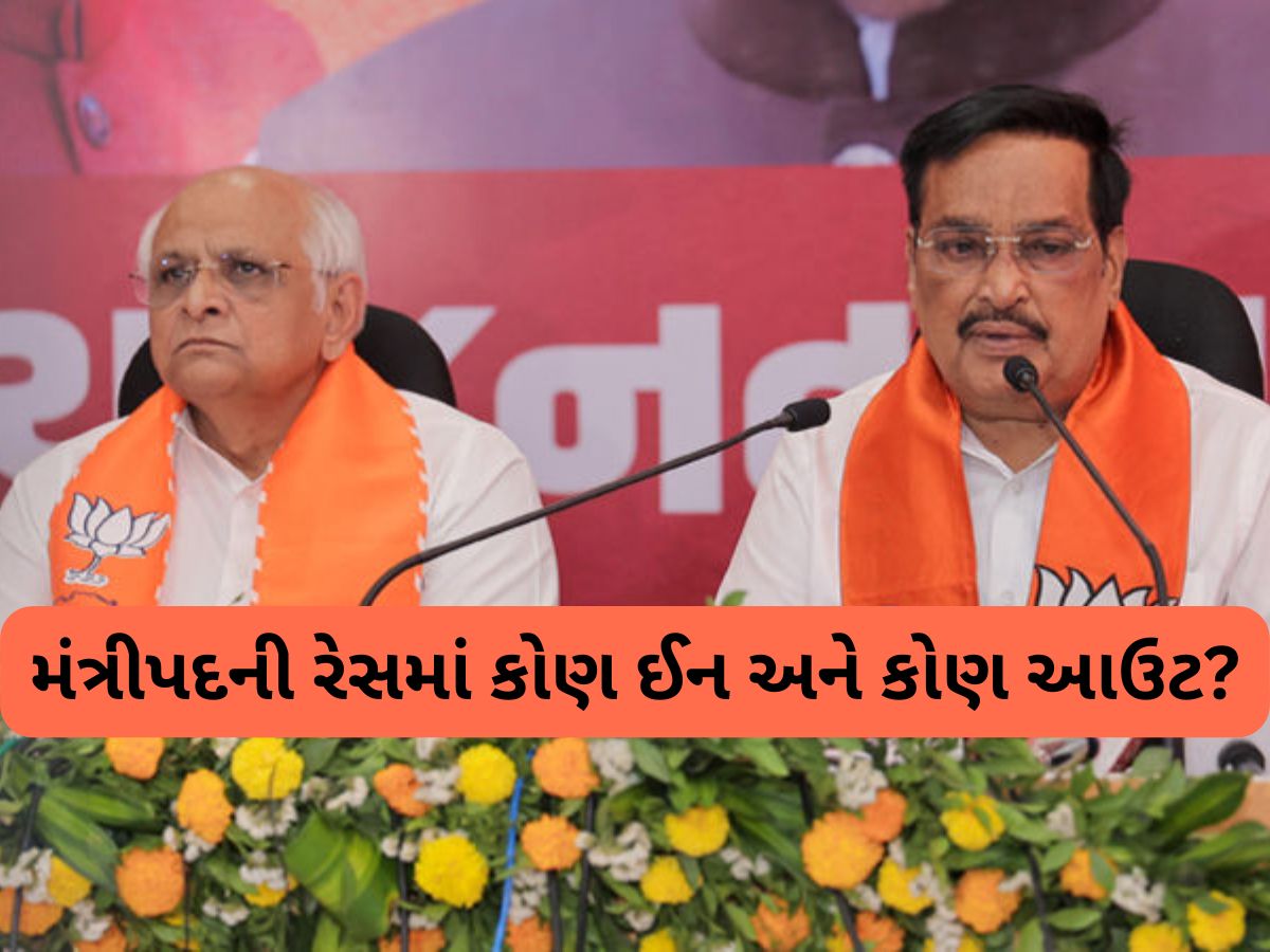 વિસાવદરનું પરિણામ કેટલાયને લઈ ડૂબશે, મંત્રીમંડળમાં આ નેતાઓનું કપાઈ શકે છે પત્તુ! વિસાવદરનું પરિણામ કેટલાયને લઈ ડૂબશે, મંત્રીમંડળમાં આ નેતાઓનું કપાઈ શકે છે પત્તુ!