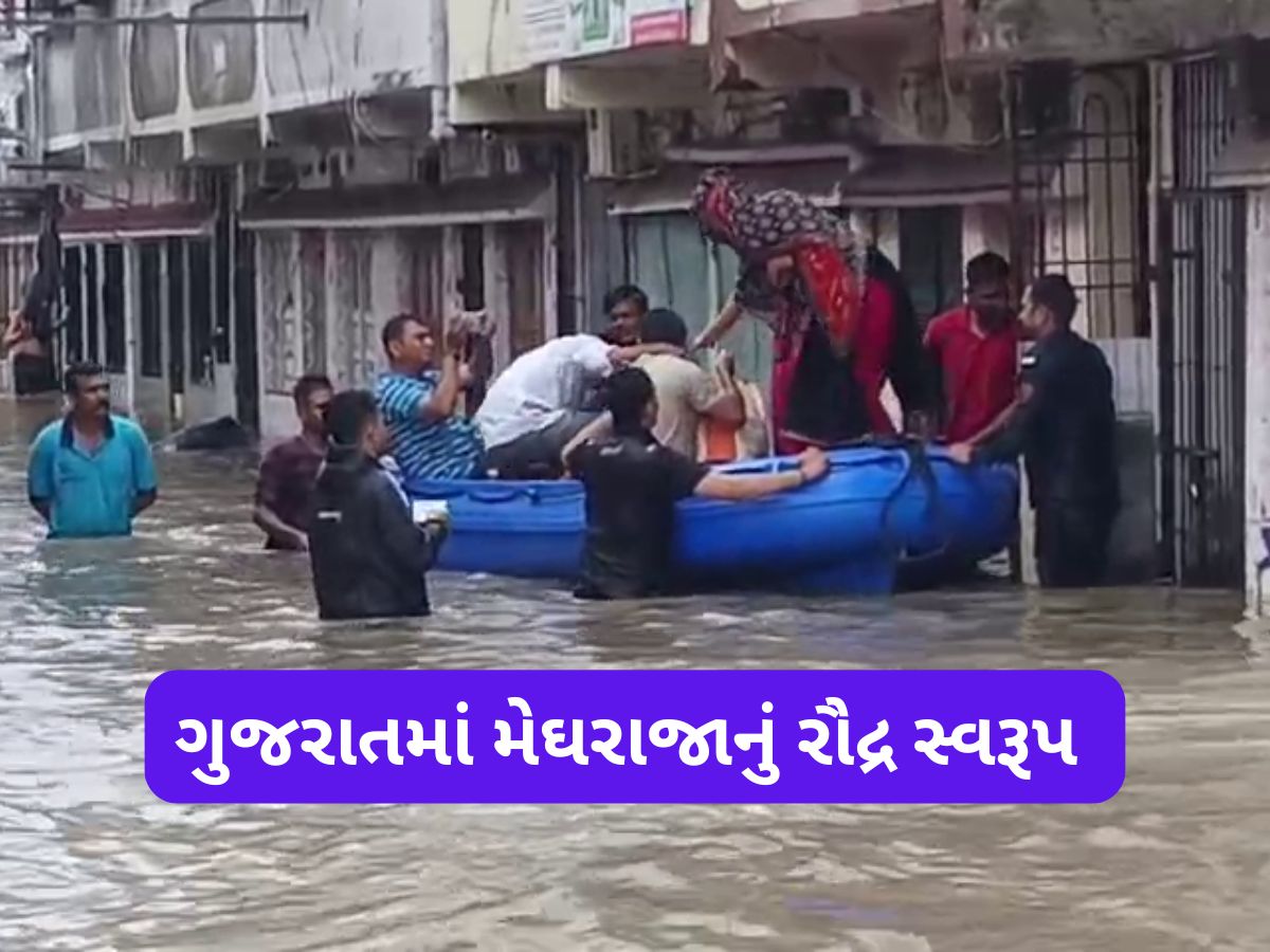 ગુજરાતમાં વરસાદથી ચારેતરફ તબાહી : સુરત બાદ હવે નર્મદા જિલ્લાનો વારો, 8 ઈંચથી તારાજી સર્જાઈ