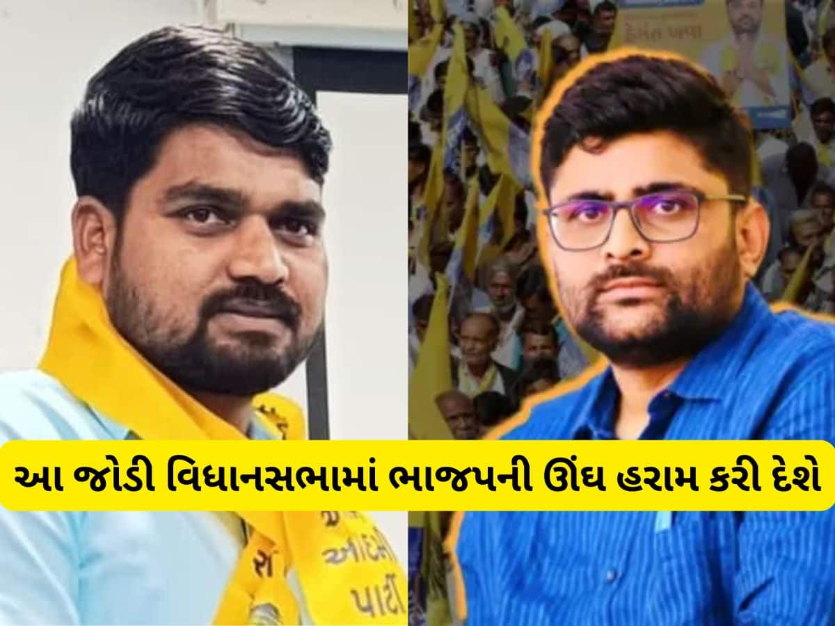 ઈટાલિયાને મળશે મોટી જવાબદારી, આપના ફાયર બ્રાન્ડ ધારાસભ્ય વિધાનસભામાં પહોંચશે તો શું થશે!