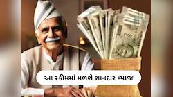 Senior Citizen માટે સુપરહિટ છે આ સ્કીમ, 5 વર્ષમાં માત્ર વ્યાજથી કમાણી ₹12.3 લાખ