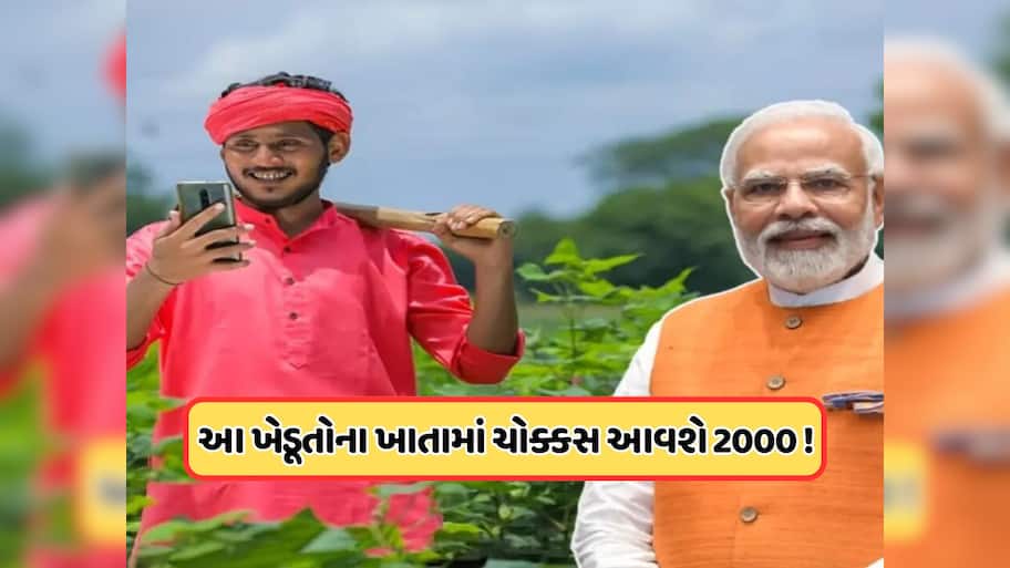 PM Kisan: તમારા સ્ટેટસમાં છે જો આ 2 વસ્તુઓ તો 20મો હપ્તો પાક્કુ તમારા ખાતામાં આવશે