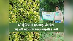 ગુજરાતના ખેડૂતે ઓસ્ટ્રેલિયાની સુખસાહ્યબી છોડી શરૂ કરી બ્રાહ્મીની પ્રાકૃતિક ખેતી