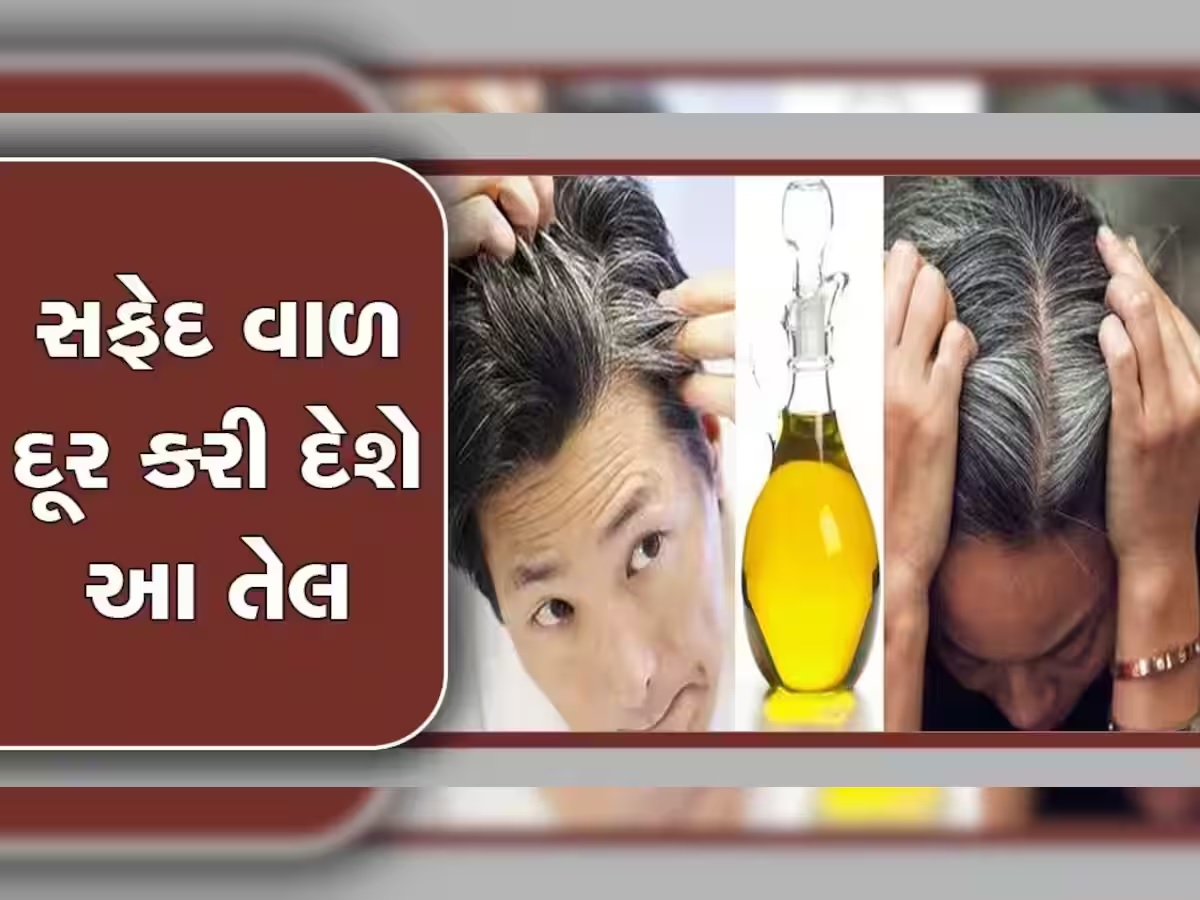 Oil For White Hair: એક-એક સફેદ વાળ થઈ જશે કાળા, બસ આ દેશી તેલનો કરો ઉપયોગ