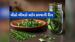 Storage Hacks: આ રીતે રાખશો તો ફ્રીજમાં મહિના સુધી ફ્રેશ રહેશે મીઠા લીમડાના પાન