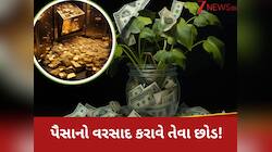 આ 4 છોડ ઘરમાં લગાવવાથી દૂર થશે વાસ્તુ દોષ, ચુંબકની જેમ ખેંચાઈને આવશે પૈસા!