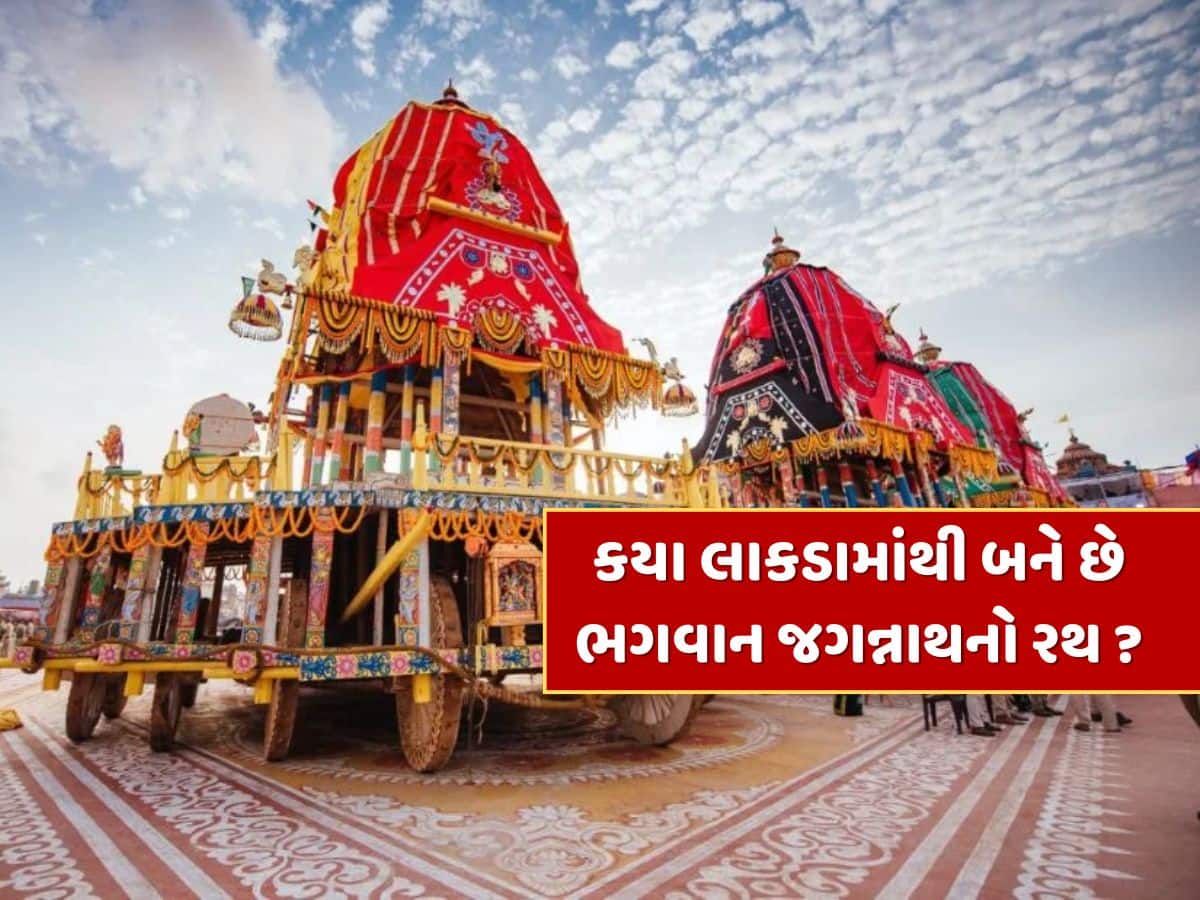 Rath Yatra 2025 : ભગવાન જગન્નાથનો રથ કયા લાકડામાંથી બને છે, રથયાત્રા બાદ તેનું શું થાય છે ? જાણો