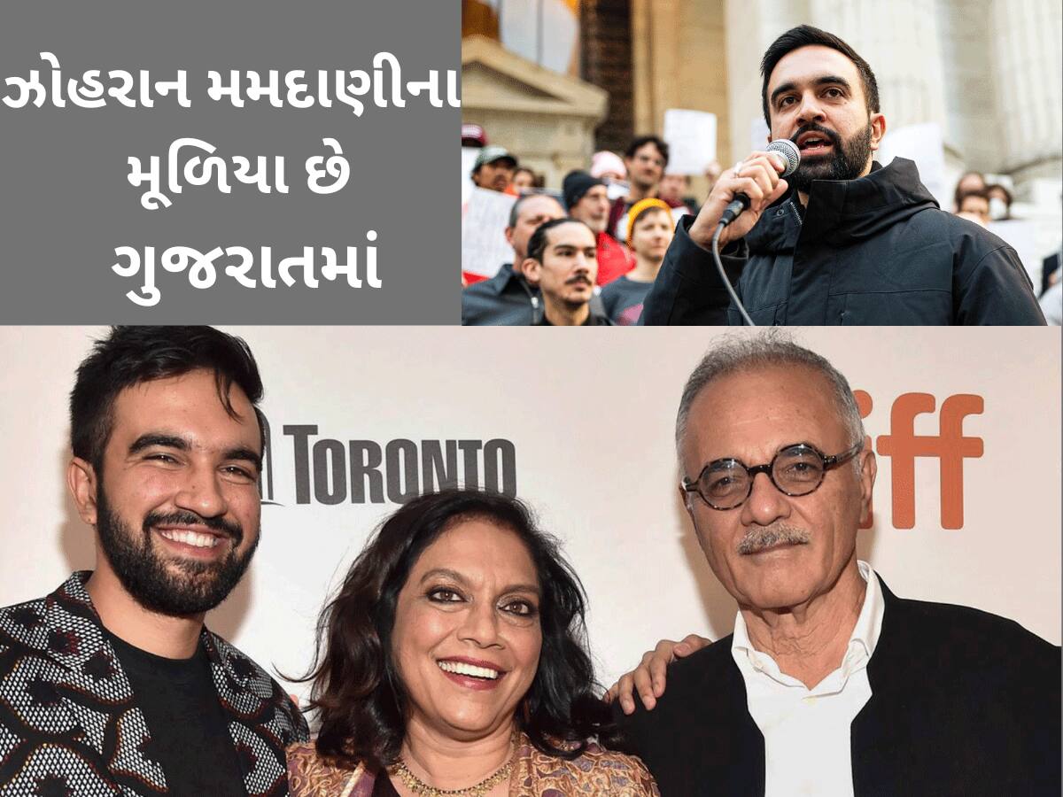 'આ જીતી જશે તો બુરખામાં જોવા મળશે સ્ટેચ્યુ ઓફ લિબર્ટી', કોણ છે આ ઝોહરાન મમદાણી, જેનો ટ્રમ્પ પણ કરે છે વિરોધ