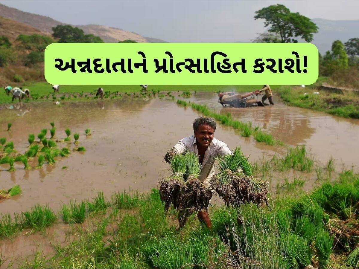 આ ખેડૂતોનું થશે સન્માન, આપવામાં આવશે 1 લાખનો રોકડ પુરસ્કાર, જાણો વિગત