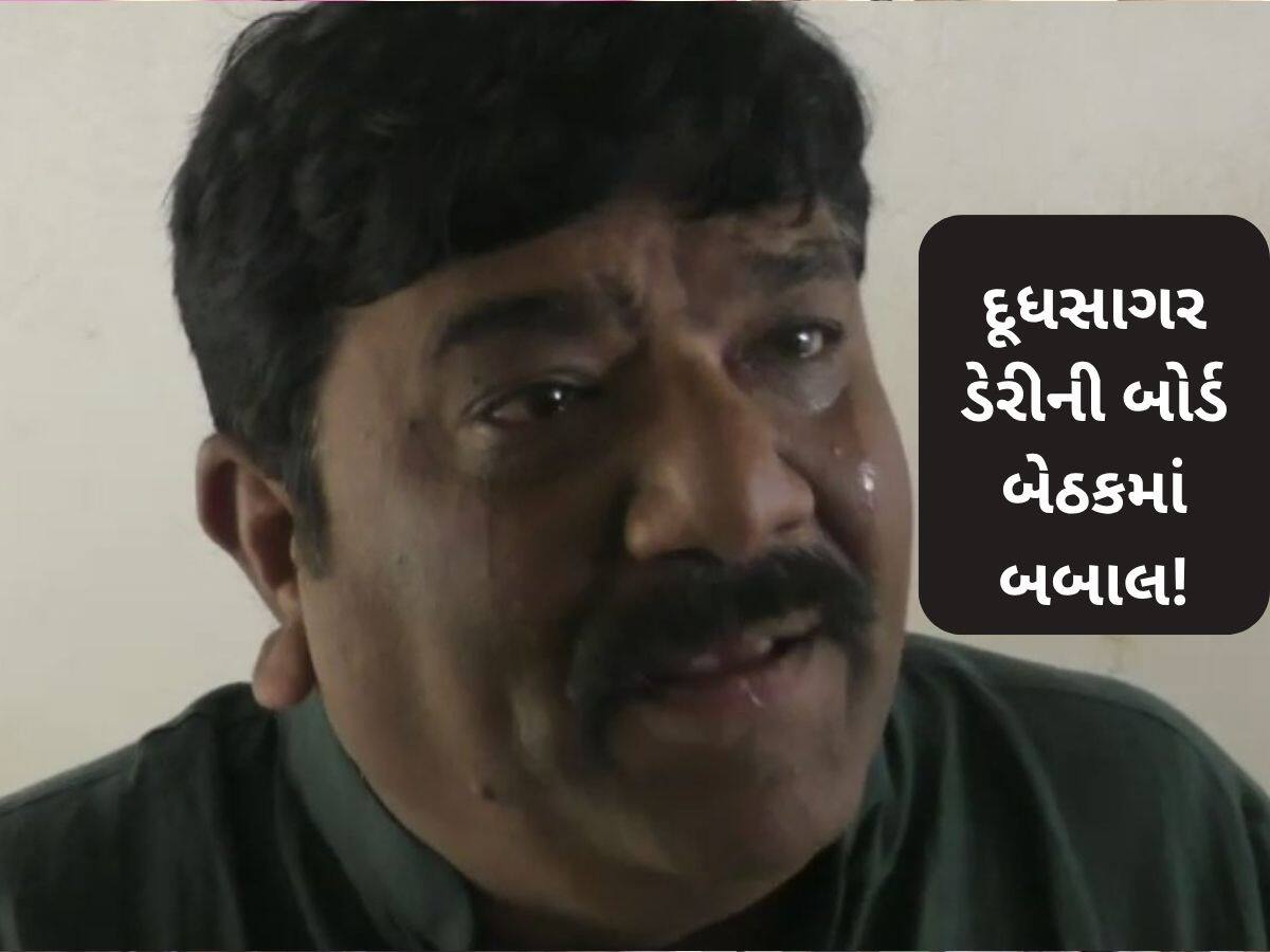મહેસાણા દૂધસાગર ડેરીમાં હંગામો, વાઇસ  ચેરમેન યોગેશ પટેલ પર હુમલો; ચેરમેન પર લગાવ્યો આરોપ