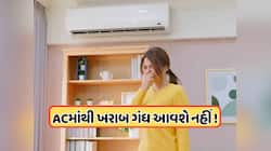 વરસાદની ઋતુમાં AC માંથી કેમ આવે છે દુર્ગંધ ? ઘરે જ કરી લો આ કામ, પૈસા બચી જશે !