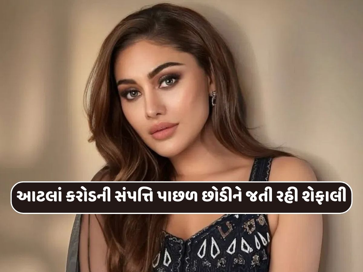 શેફાલીએ કેવી રીતે ઊભી કરી હતી આટલાં કરોડોની સંપત્તિ... શેફાલીએ કેવી રીતે ઊભી કરી હતી આટલાં કરોડોની સંપત્તિ...