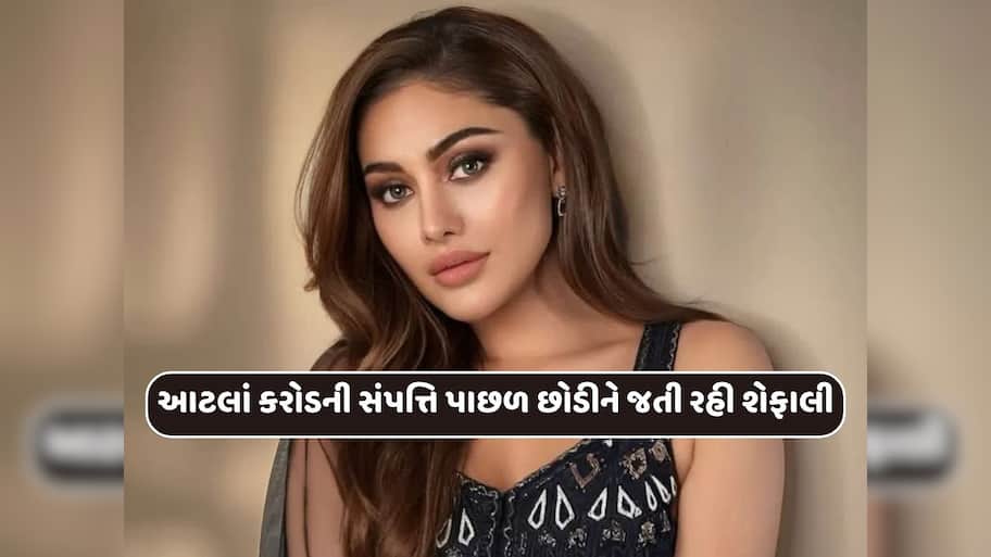 શેફાલીએ કેવી રીતે ઊભી કરી હતી આટલાં કરોડોની સંપત્તિ...