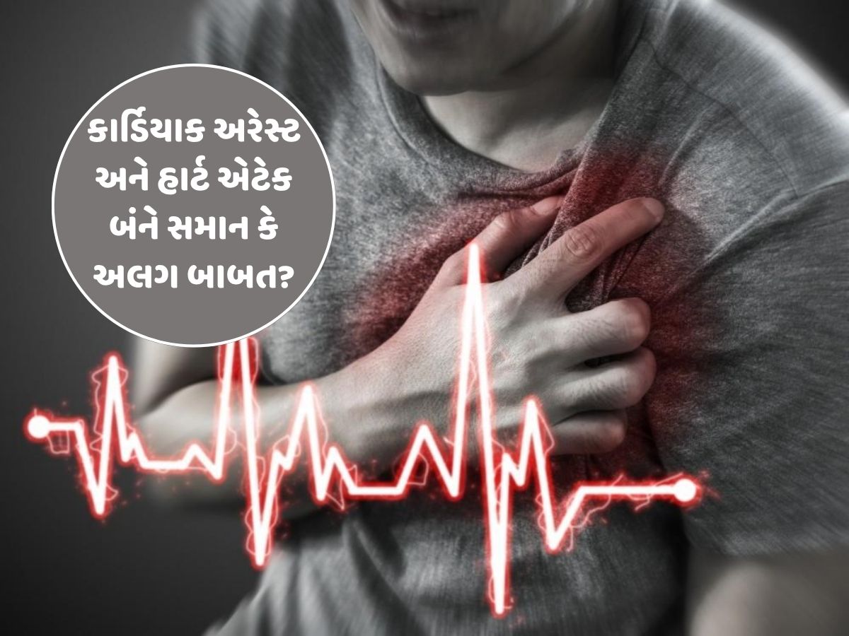 કાર્ડિયાક અરેસ્ટ અને હાર્ટ એટેક વચ્ચે શું છે તફાવત, કેવા હોય છે તેના લક્ષણો? કાર્ડિયાક અરેસ્ટ અને હાર્ટ એટેક વચ્ચે શું છે તફાવત, કેવા હોય છે તેના લક્ષણો?